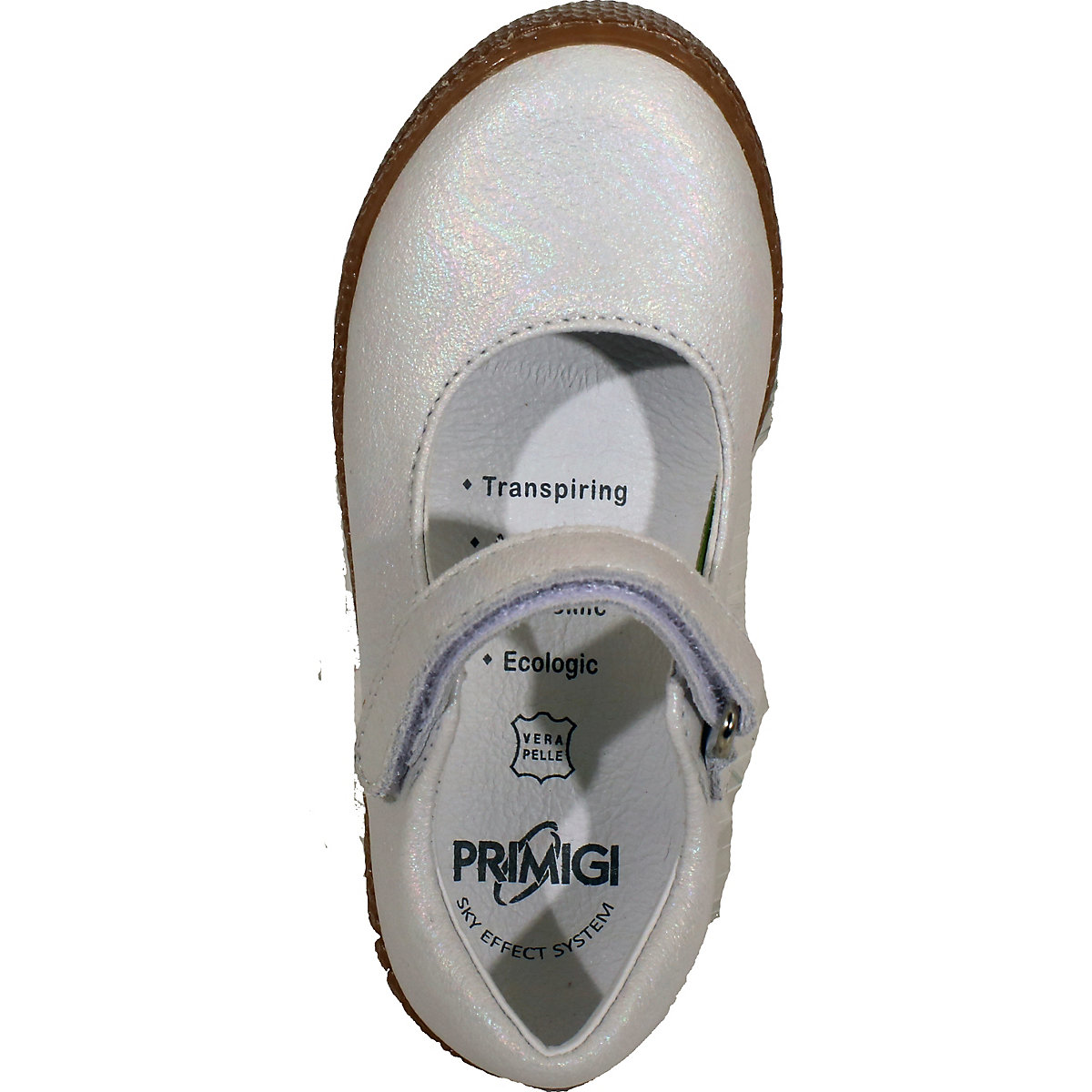 PTF 19170 Ballerinas