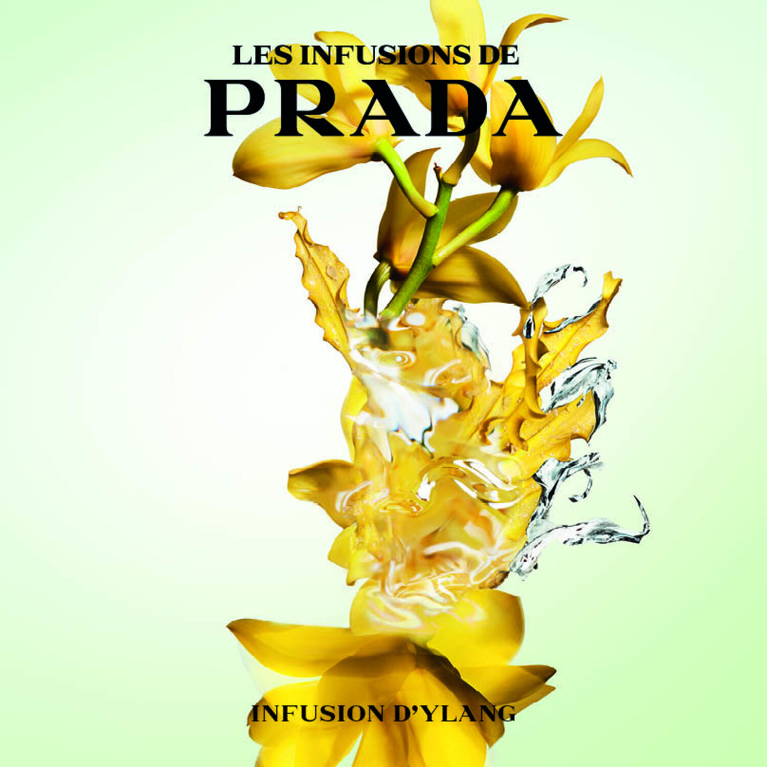 Prada Infusion Ylang Eau de Parfum Solaire et Captivante 100 ml