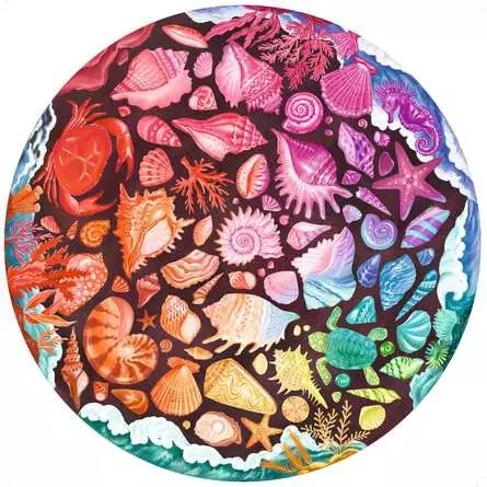 Puzzle 500 Teile - Seashells