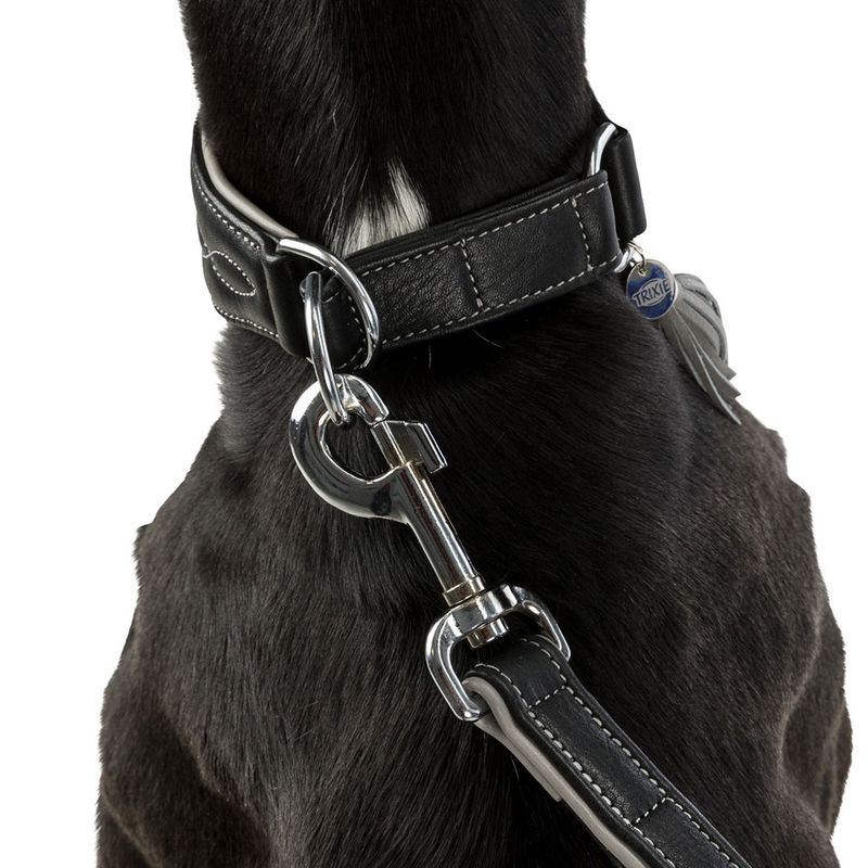 Trixie Active Comfort Halsband für Windhunde - schwarz/grau