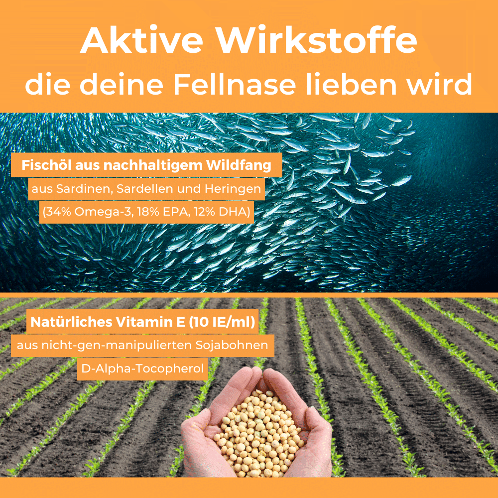 Dog-Native Ergänzungsfutter & Aufzucht Dog-Native Wildfischöl für Hunde aus nachhaltigem Wildfang mit natürlichem Vitamin E, Omega 3 Öl, Fischöl in Glasflasche, kein Lachsöl, 500ml