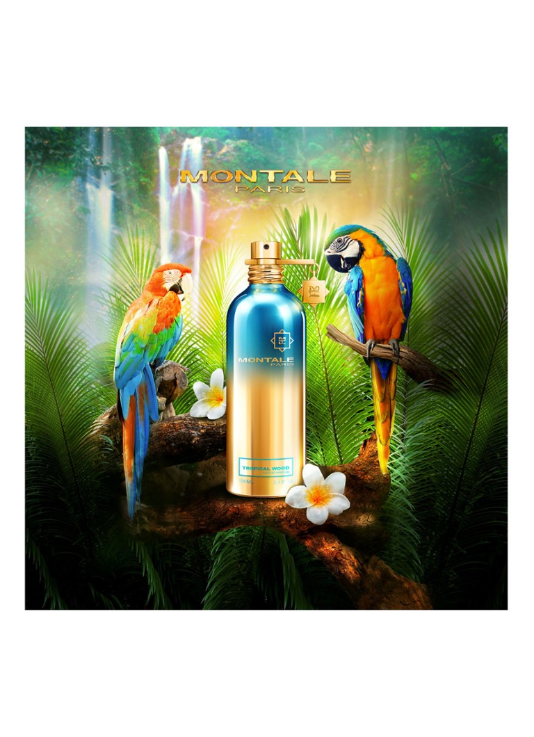 Montale Tropical Wood parfuminis vanduo