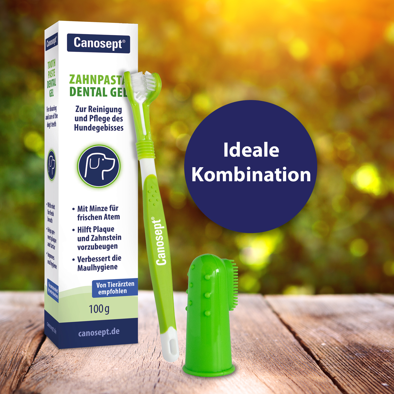 Canosept Zahnpflege Canosept Zahnpflege Dental Gel 100g