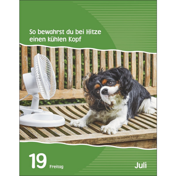 WISSEN FÜR KIDS TAGESABREIßKALENDER 2024 - Kalender