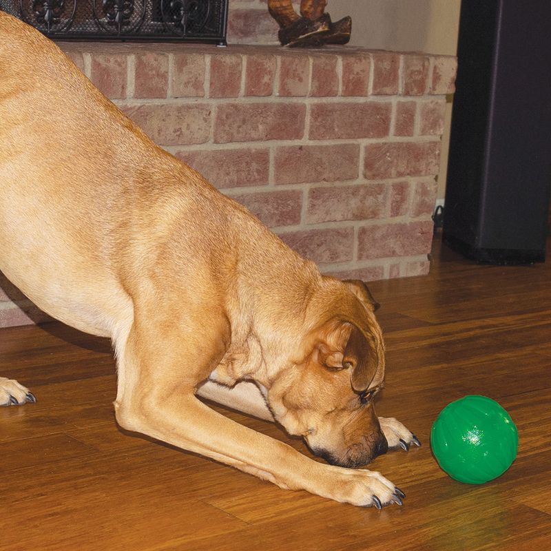 Starmark Treat Dispensing Chew Ball zu TOP-Preisen