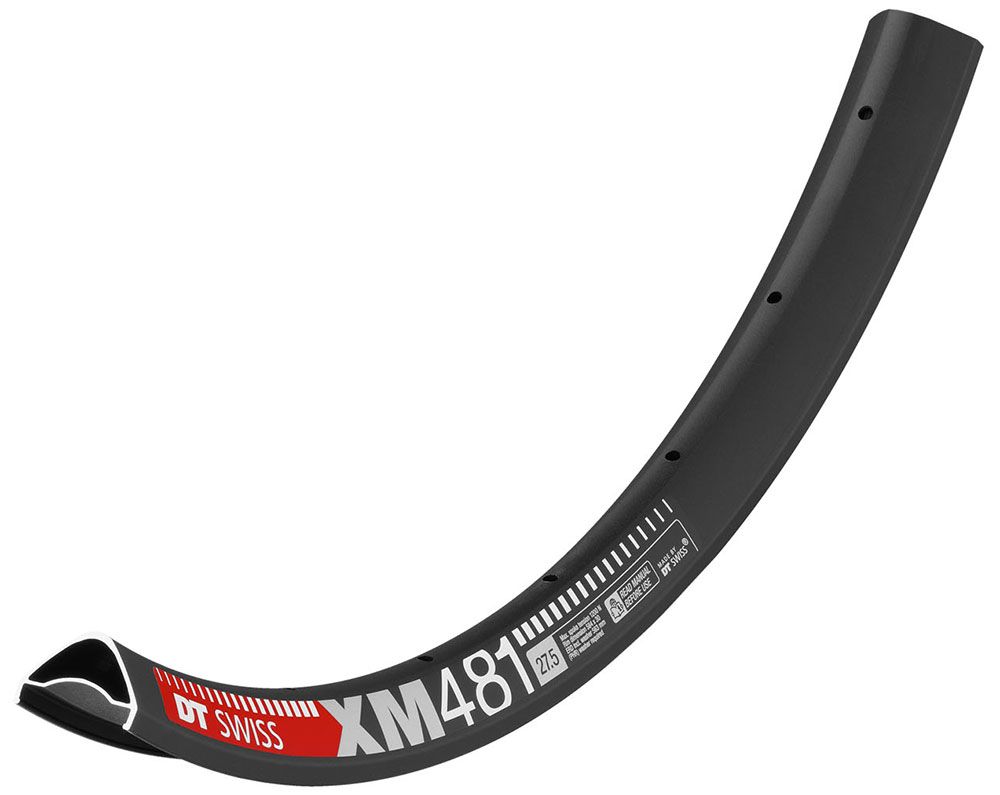 DT Swiss XM 481 Disc Felge 32 Loch kaufen | Bike-Discount