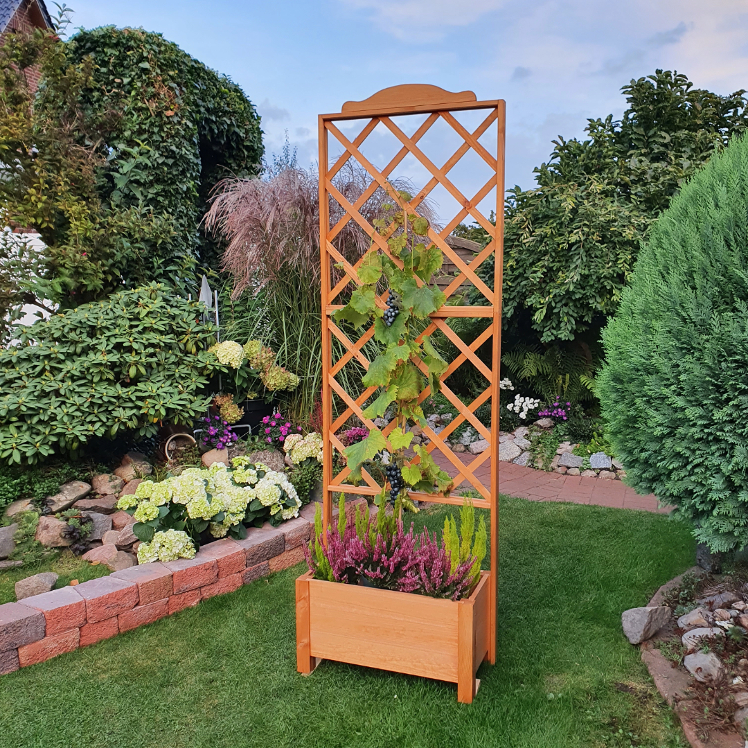 PROMEX Promadino Rankkasten Botanica 69x210 cm