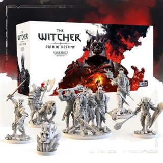 The Witcher: Path of Destiny - Wild Hunt (EN)