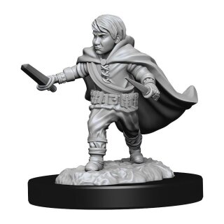 D&D Nolzur's Marvelous Miniatures - Halfling Rogue Male