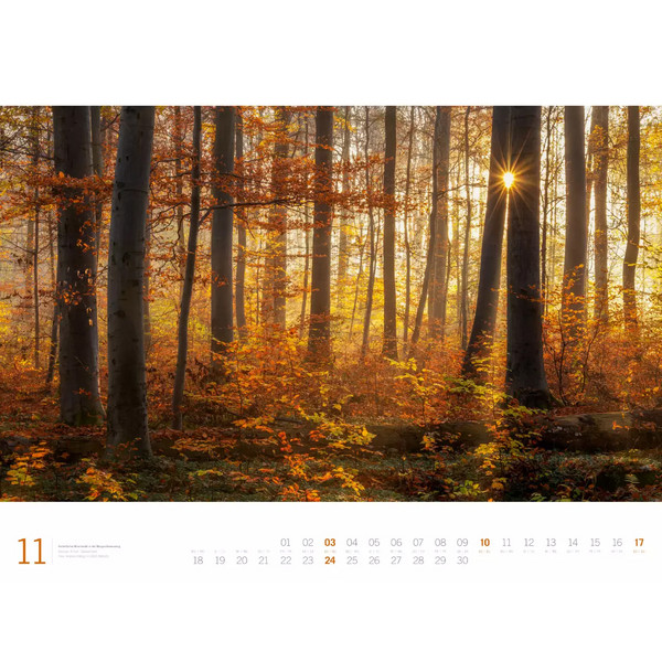 WALD - ACKERMANN GALLERY KALENDER 2024 - Kalender