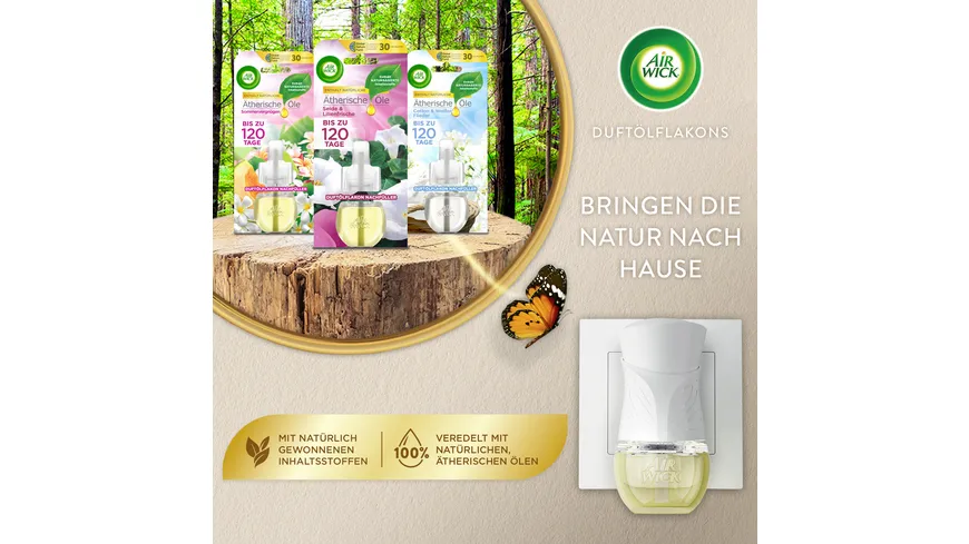 Air Wick Duftölflakon Starter-Set Sommervergnügen