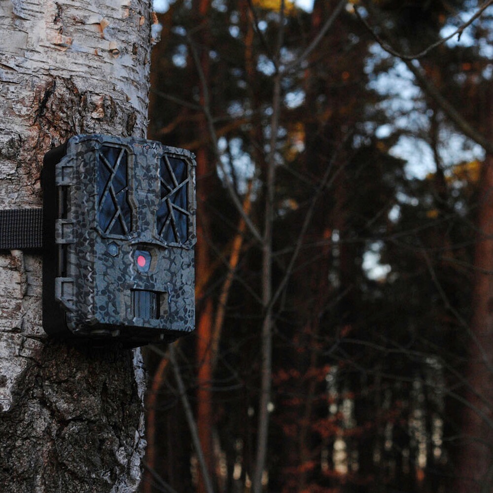 Spypoint Wildkamera Force-Pro