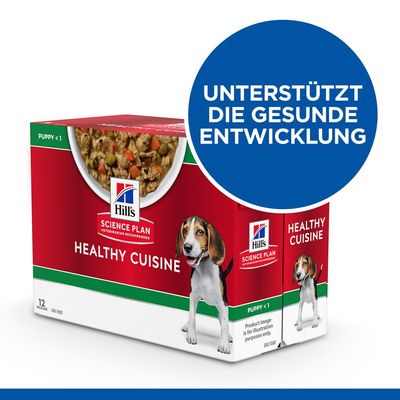Hill’s Science Plan Puppy Medium & Large Healthy Cuisine mit Huhn