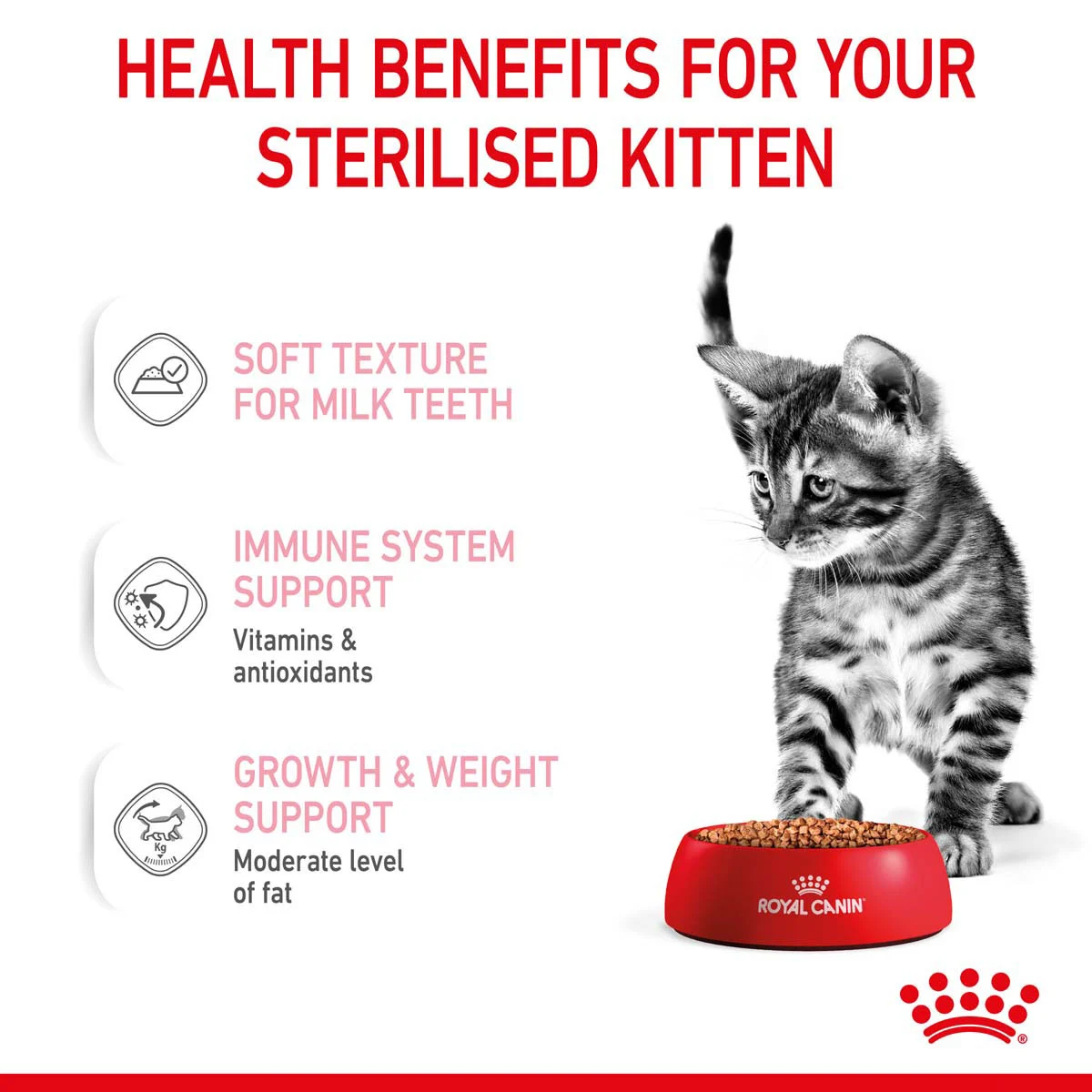 ROYAL CANIN KITTEN STERILISED in Soße Nassnahrung für kastrierte Kätzchen ab 6 Monaten