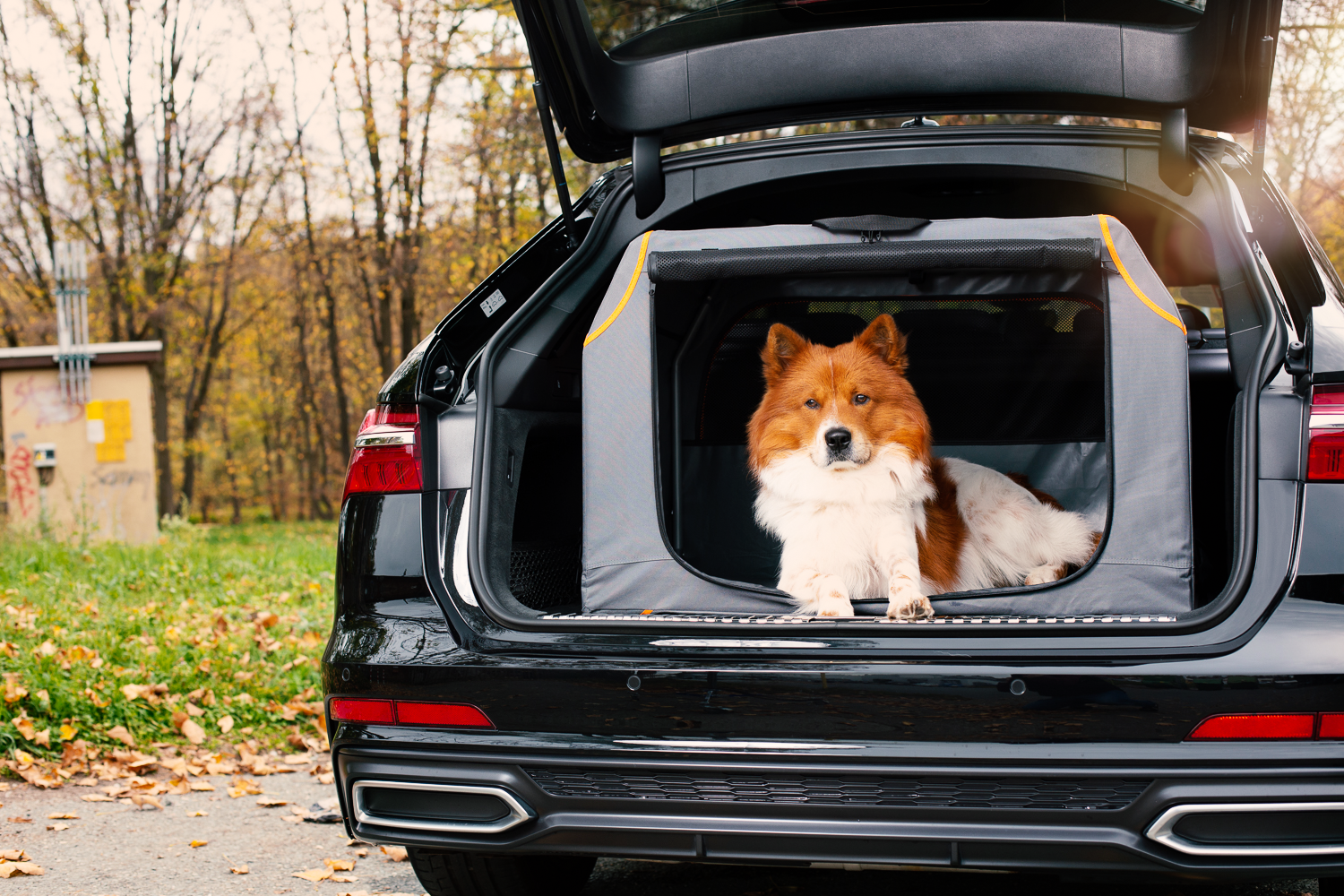 Knuffelwuff Transportboxen & Gitterboxen Knuffelwuff faltbare Hundebox Auto Transportbox Alverstone mit Aluminiumgestell für den Kofferraum XL