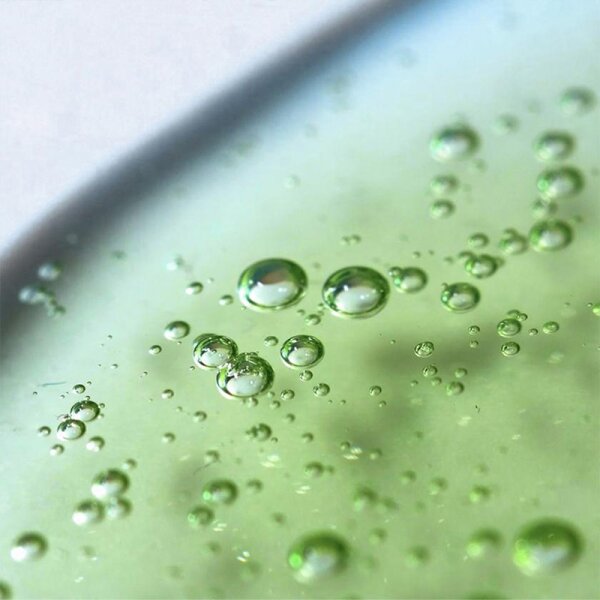 WHAMISA Cactus Bouncy Serum Gesichtsserum