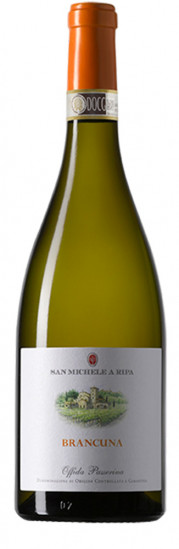 2020 Brancuna Offida DOCG trocken - San Michele a Ripa