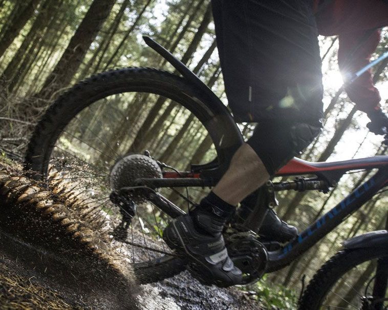Mudhugger Medium Hinterrad-Schutzblech kaufen | Bike-Discount