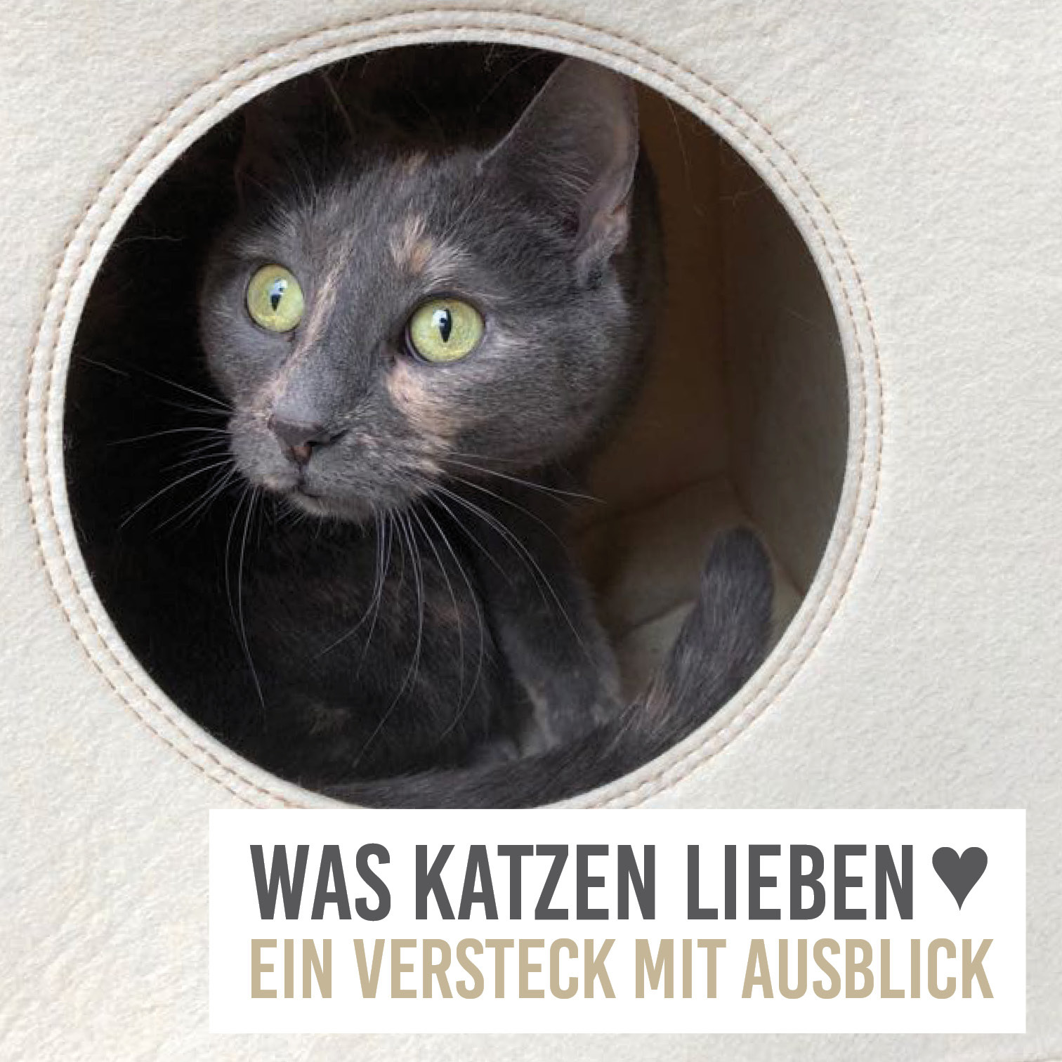 KaraLuna Katzenhöhlen KaraLuna Katzenhöhle aus Filz fürs Regal beige