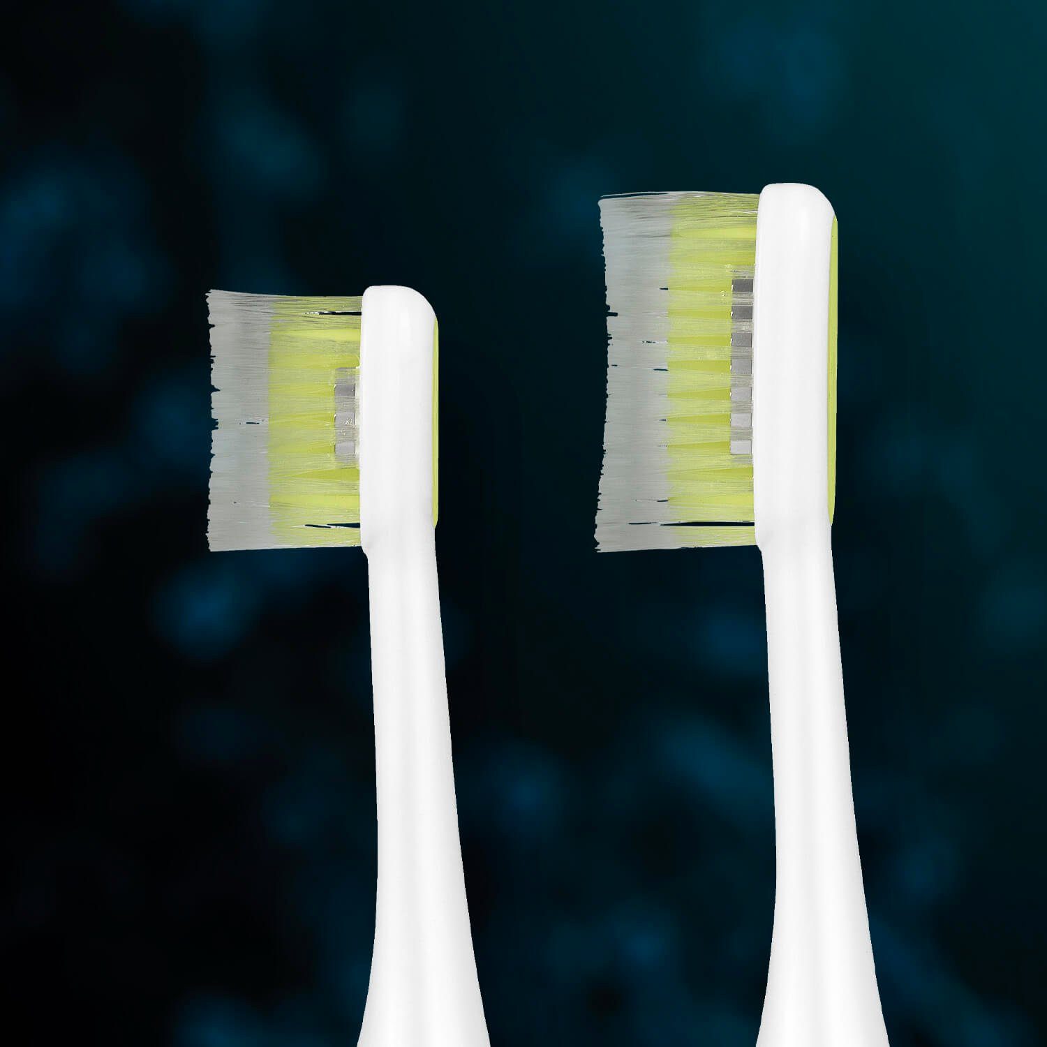 Silk'n Schallzahnbürste Silk'n ToothWave, Aufsteckbürsten: 2 St., wasserdicht (IP67 zertifiziert)