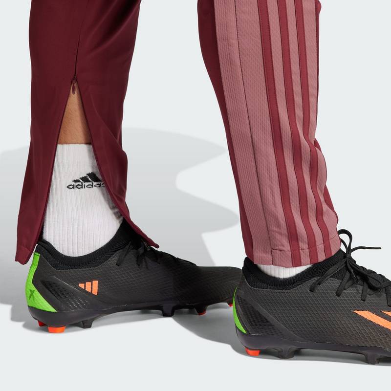 adidas FC Bayern München Anthem Hose Trainingshose Herren
