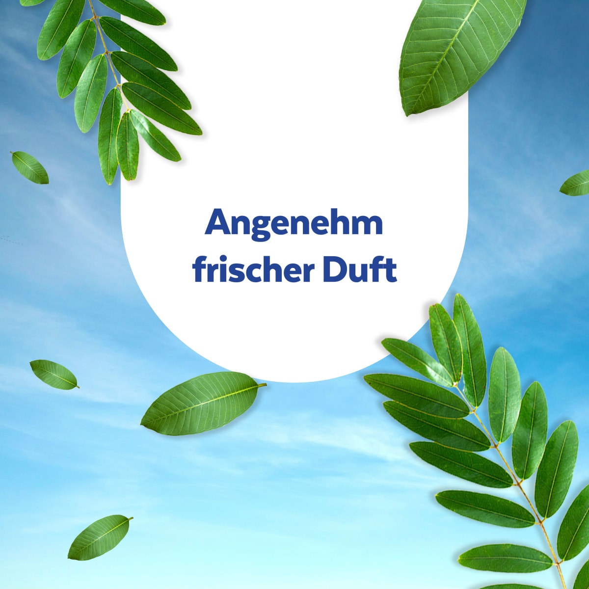 Allzweckreiniger Desinfektion, 500 ml