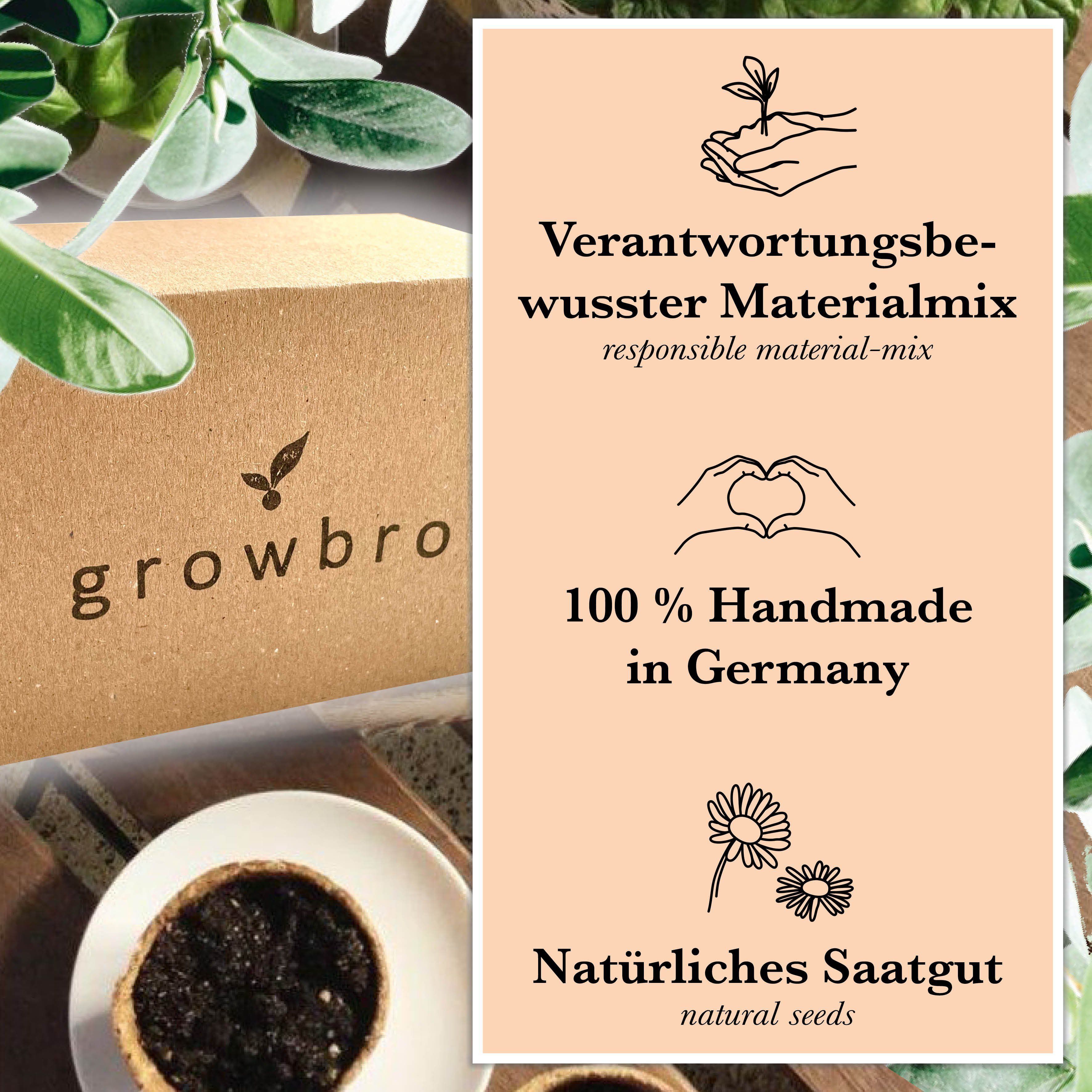 growbro Lernspielzeug Erdnuss Anzuchtset für kleine Forscher Lernt spielend die Natur kennen (Bekannt aus Social Media)