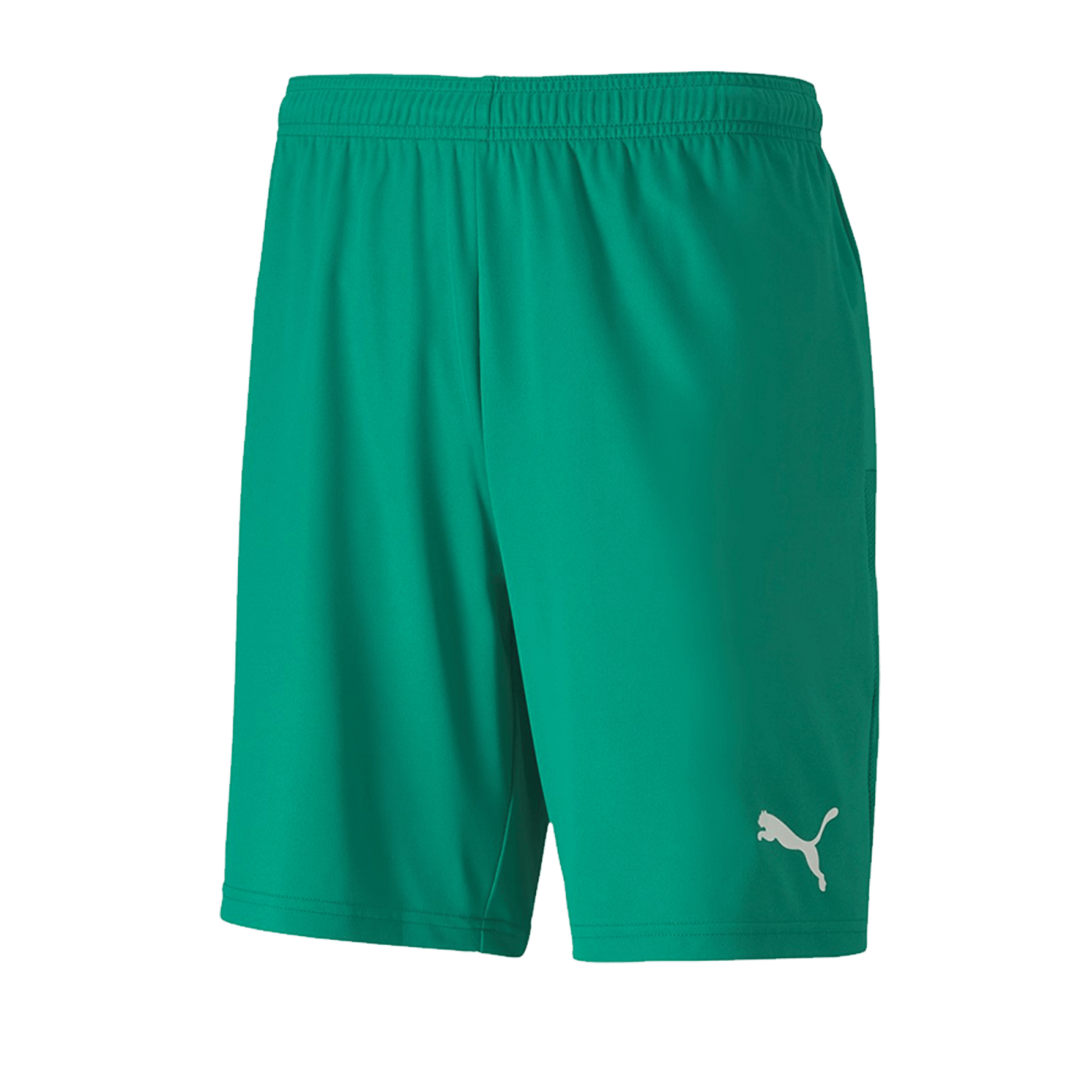 PUMA teamGOAL 23 Knit Short Grün F05