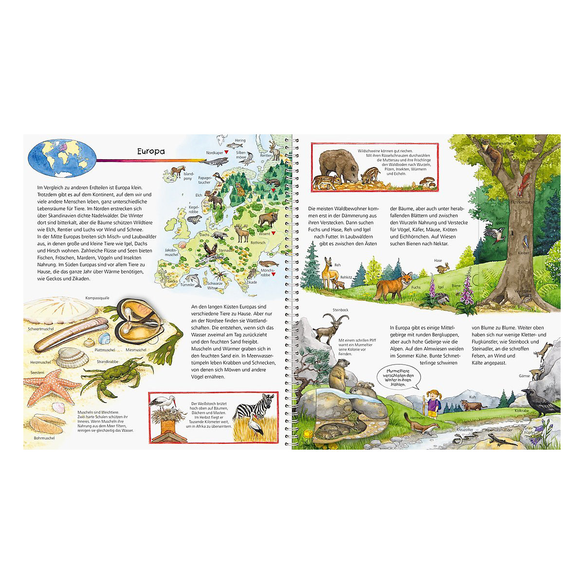 WWW Mein großer Tieratlas