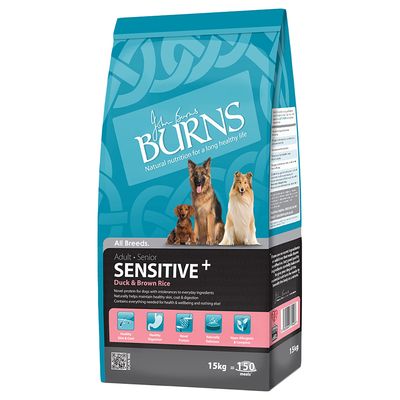 Sparpaket Burns 2 x Großgebinde