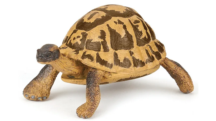 Papo - Hermann's Schildkröte 50264