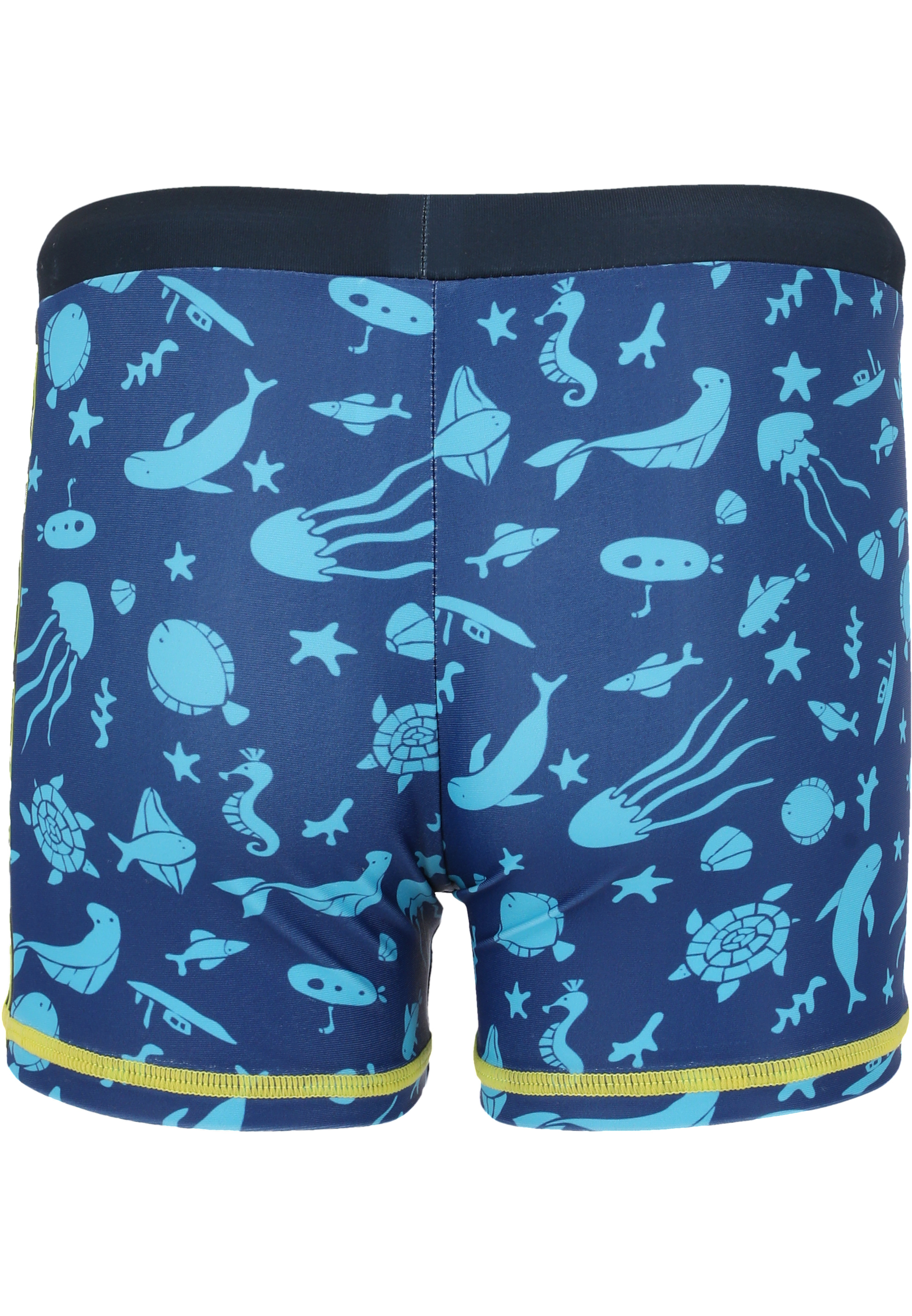 Swim Trunks 'Buddy'
