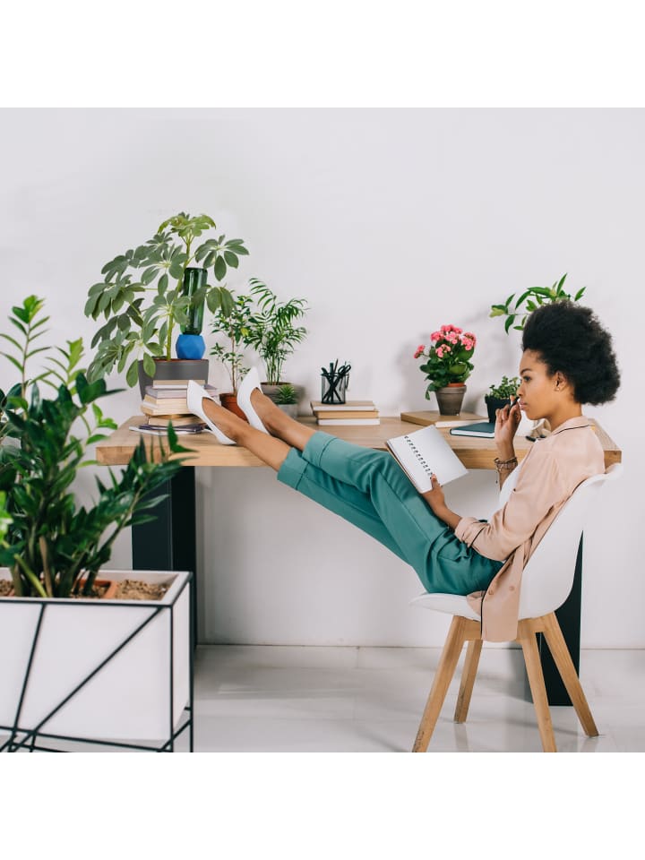 relaxdays 4 x Tonspitzen Bewässerung in Terrakotta/ Blau günstig kaufen onesize