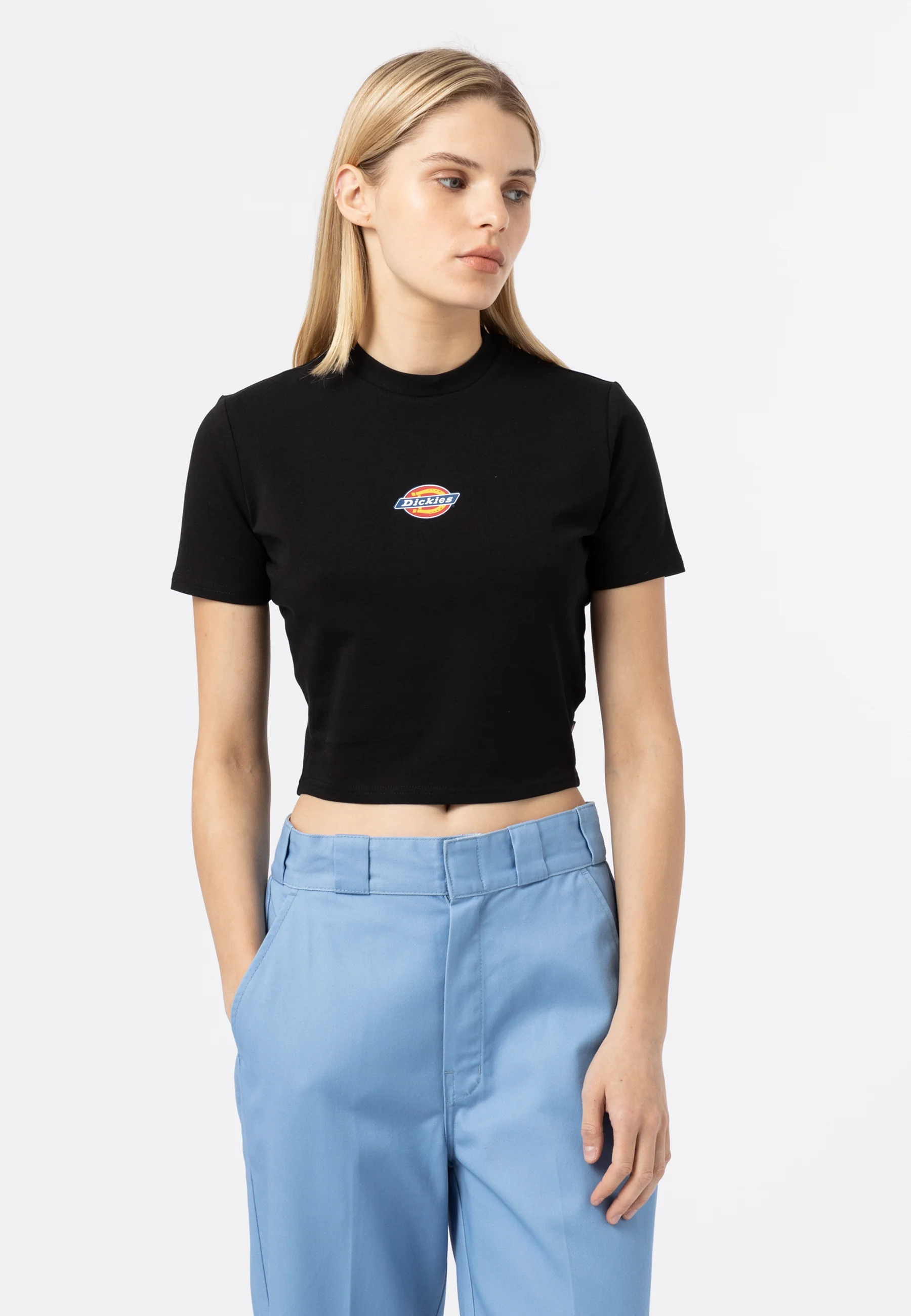 Dickies MAPLE VALLEY TEE - Camiseta con estampado