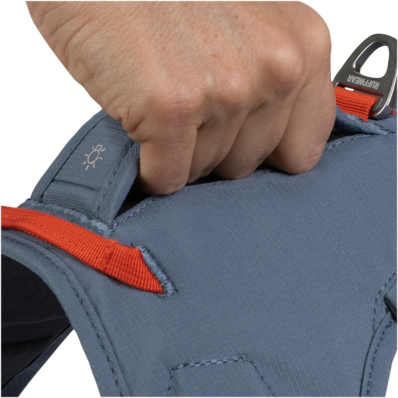 Ruffwear Hundegeschirr Web Master