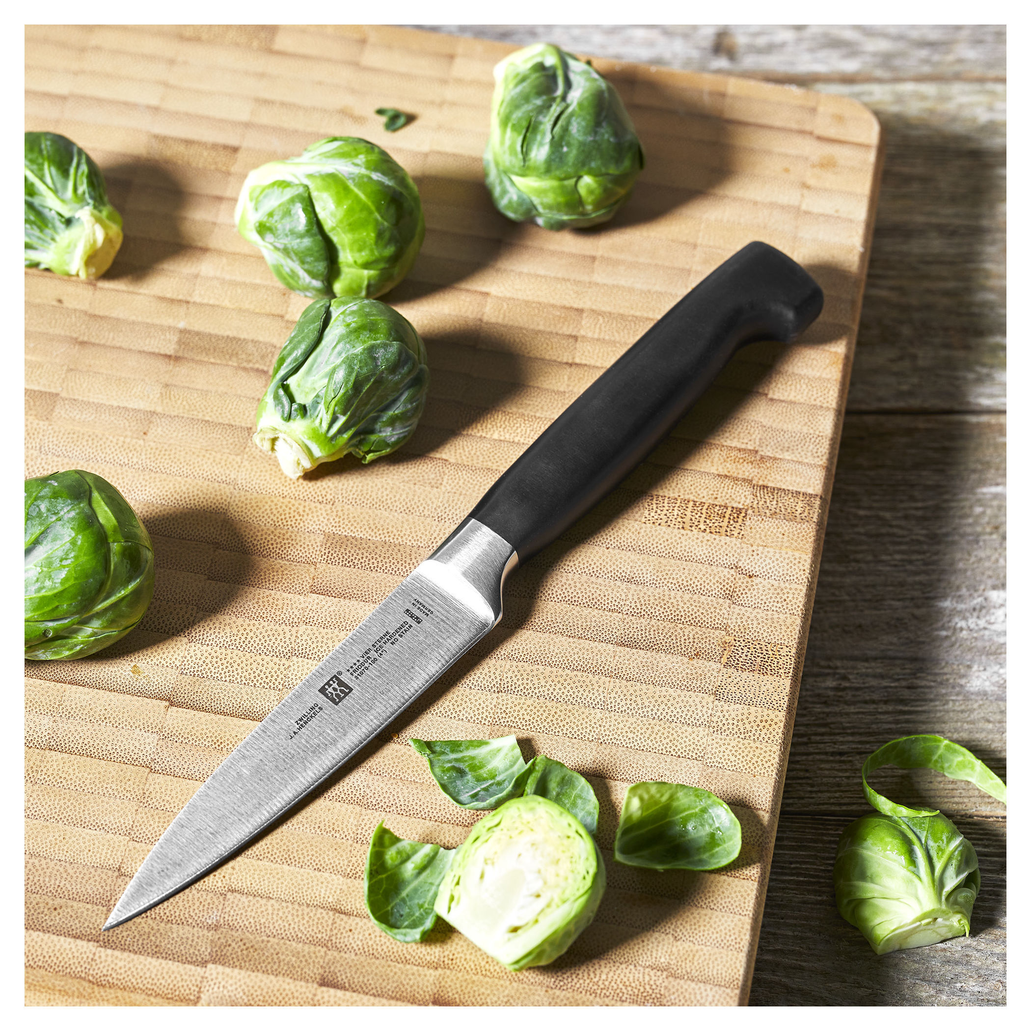 Spick & Garniermesser 10 cm