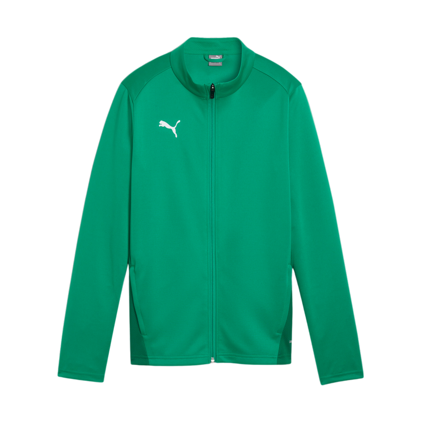 PUMA teamGOAL Trainingsjacke Damen Grün F05