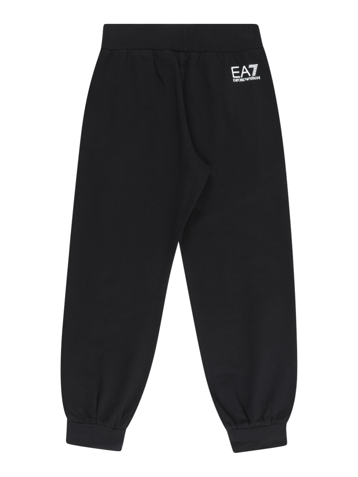 Tapered Pants
