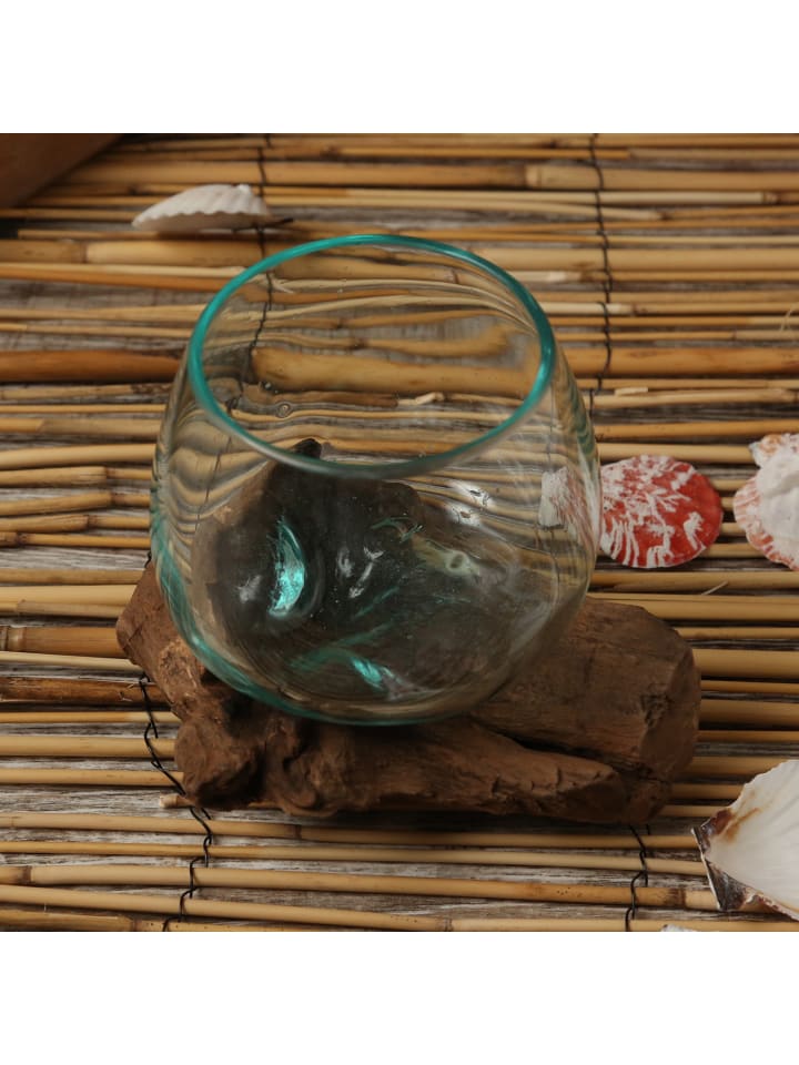 MARELIDA Glasschale Dekoschale Wurzelholz Unikat D: 14cm in natur günstig kaufen onesize