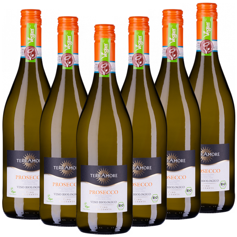 TerrAmore Bio-Prosecco Frizzante Treviso DOC TerrAmore Italien  trocken - 6er Karton