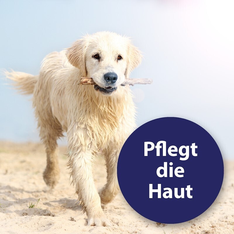 Canosept Fellpflege Canosept Hautpflege Spray für Hunde 250 ml