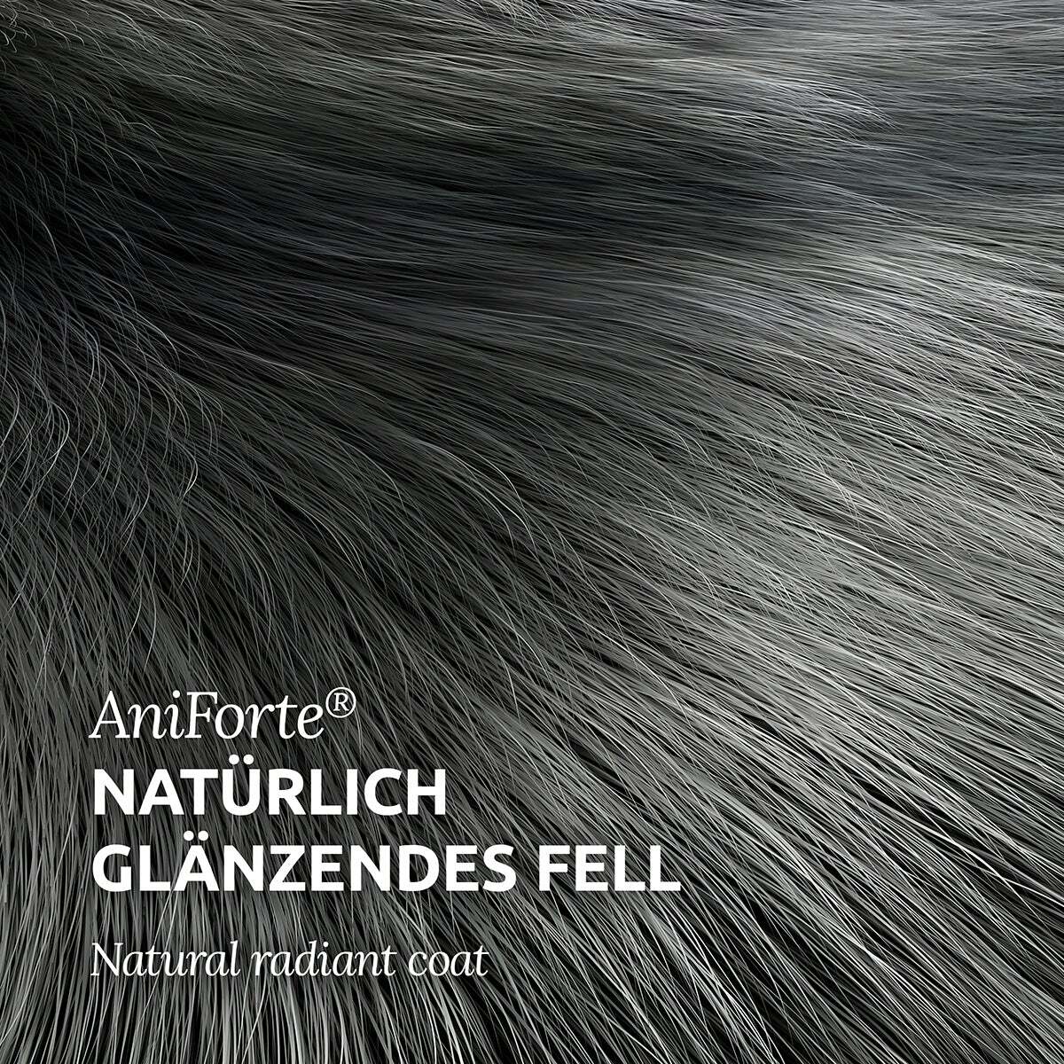 Aniforte Fellpflege Aniforte Fellharmonie Conditioner Sensitiv 200ml