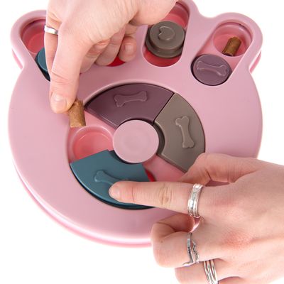 Intelligenzspielzeug Snack Paw