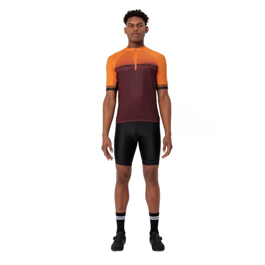 Posta Half-Zip II Fahrrad Trikot Herren