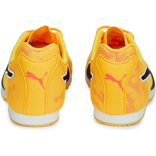 KINDER LEICHTATHLETIKSCHUHE EVOSPEED STAR 8 JUNIOR