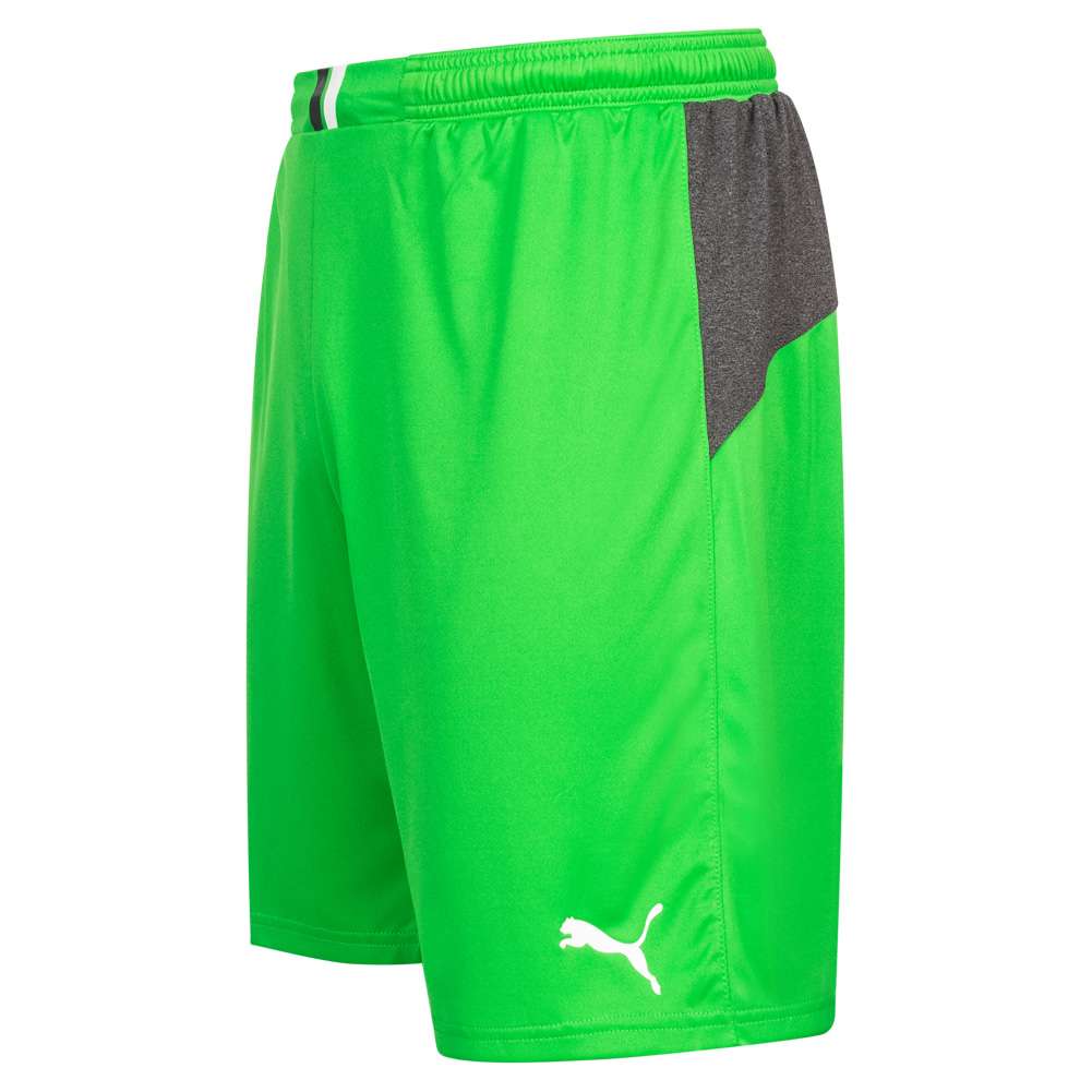 PUMA King Herren Torwart Shorts 701701-43