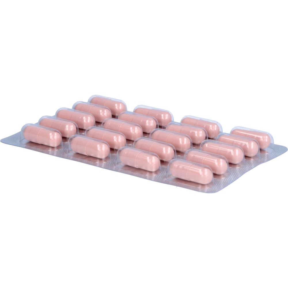 KIESELERDE+BIOTIN Kapseln