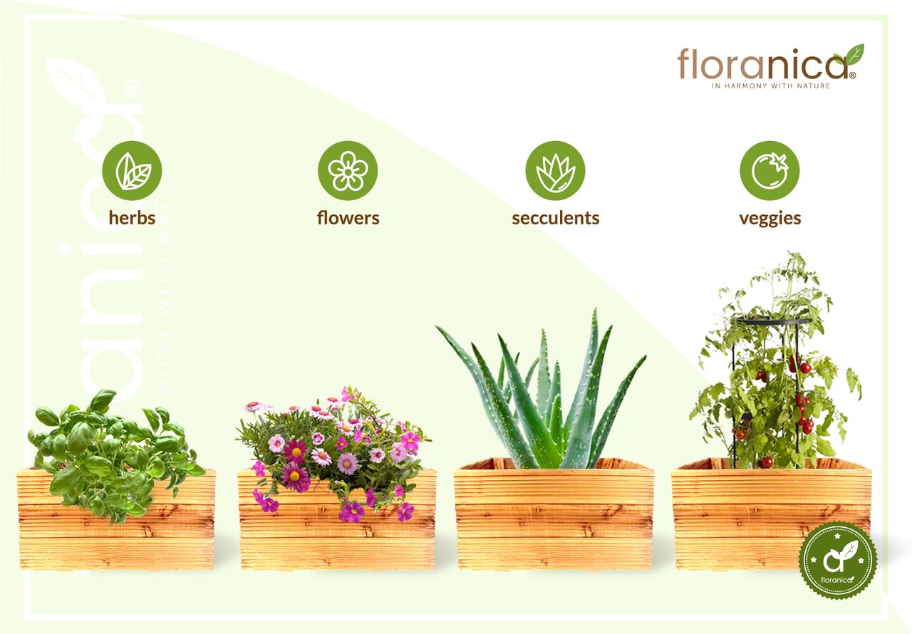 Pemicont Floranica Blumentopf aus Holz Kasten 50cm x 535cm x 285cm Natural Imprägnierte Lärche Gehäuse für Kräuter Blumen Haus- und Gartendekoration Innen- und Außenbereich EU-Produkt