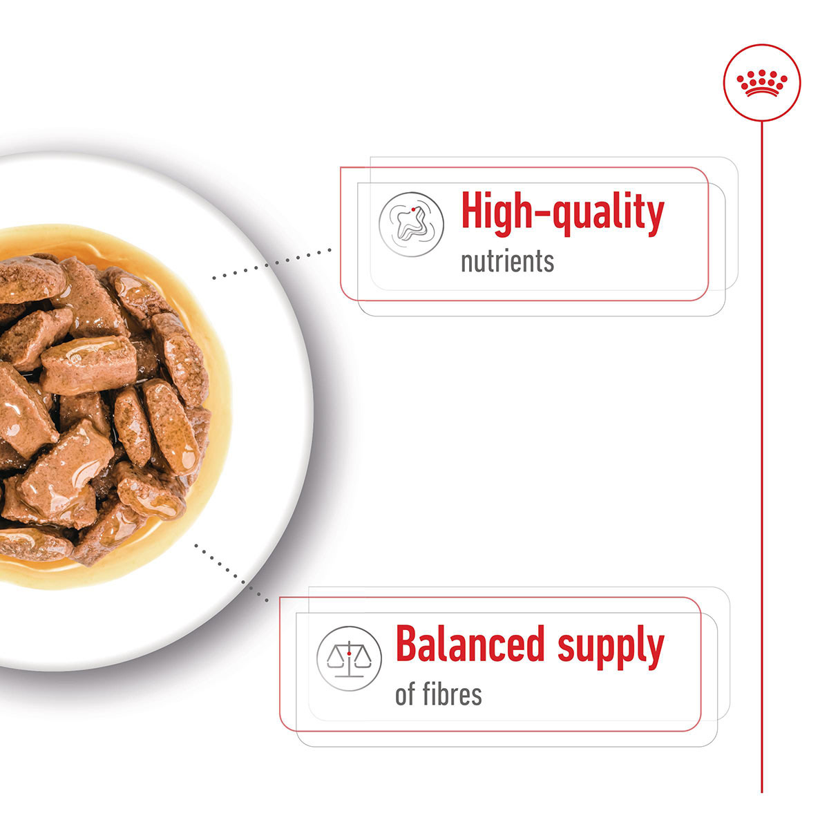 Royal Canin SHN Maxi Adult Gravy günstig kaufen bei ZooRoyal
