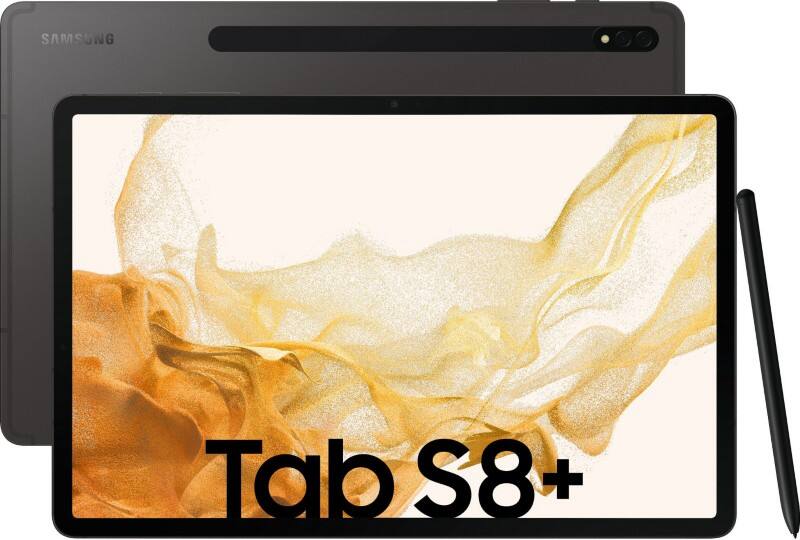Samsung Tablet S8  Wi-Fi 2800 x 1752 pixels Grau